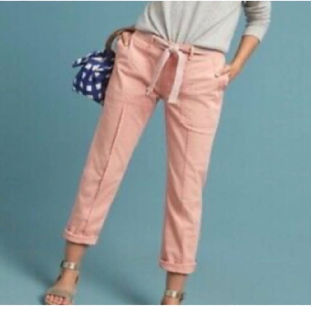 Anthropologie The Wanderer pants